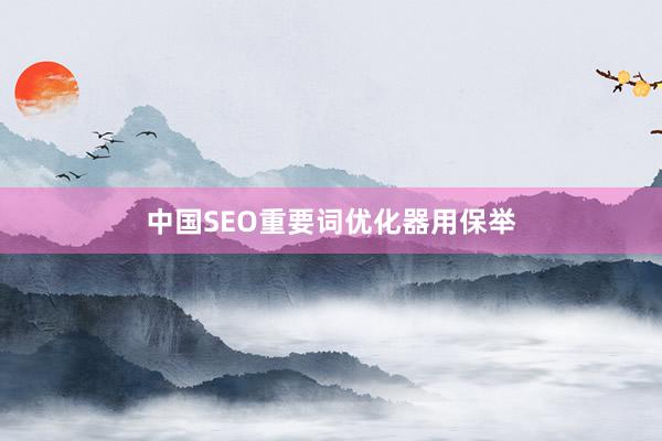 中国SEO重要词优化器用保举